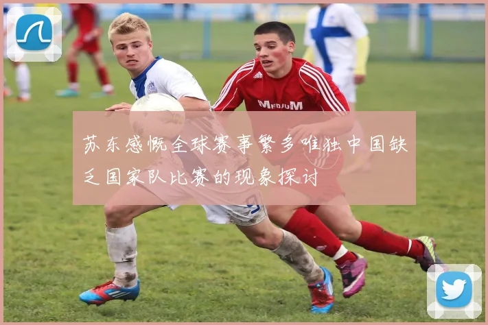 苏东感慨全球赛事繁多唯独中国缺乏国家队比赛的现象探讨